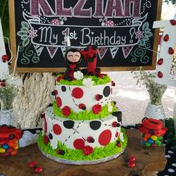 Ladybug garden party - Ladybugs 