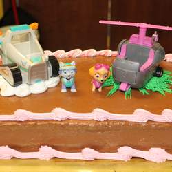 Claire's 4th Birthday Party - Paw Patrol Skye and Everest
