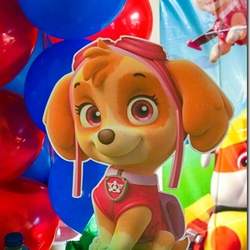 PAW PATROL BIRTHDAY PARTY CELEBRATION - Paw Patrol