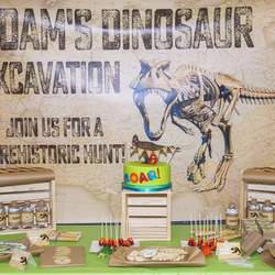 Adam's Dinosaur Dig Party! - Dinosaurs