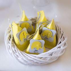 Ilan's baptism - Cute elephant