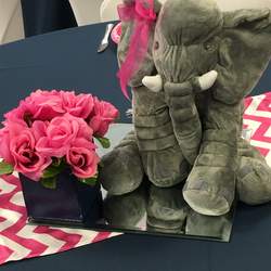 Our Little Peanut Baby Shower - Our Little Peanut 
