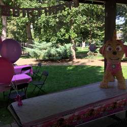 Yareli's Paw Patrol 3rd Birthday Party - Paw Patrol