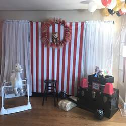 Alivias Circus Extravaganza  - Circus / Carnival