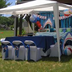 SHARK-A-NANZIA BIRTHDAY CELEBRATION - Sharks
