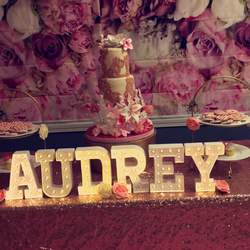 Audrey first birthday  - Ballerina 