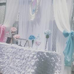 Bow ties or hair bows? - Gender Reveal