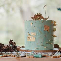 Tin Turns One! - Dinosaurs