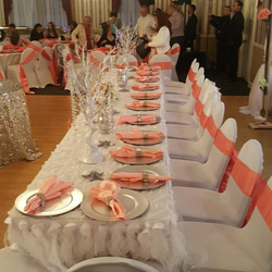 Gina's Sweet 16 birthday party - Under the Sea