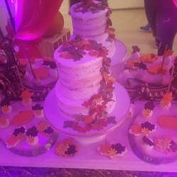 Punkin's 72nd birthday party - fall autumn