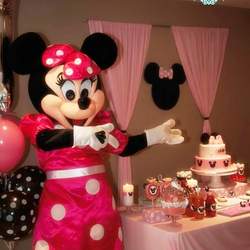 Minnie Mouse birthday  - minnie mousse