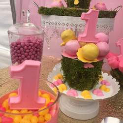 Enchanted Garden  - None
