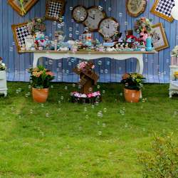 Anne- Sophies's Alice in Wonderland 6th birthday party - Alice in Wonderland