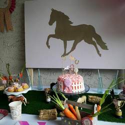 Anne-Sophie's Pony 7th birthday party - PONY PARTY 