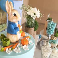 Petter rabbit / Birthday 