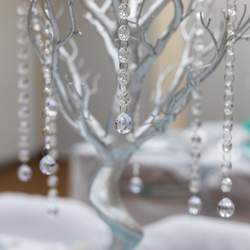 LaKetta's Surprise Bridal Shower - Tiffany's Winter Wonderland