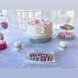Girl baby shower - Silver and pink