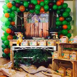 Aidan's 2nd birthday - Lion Guard (Lion King)
