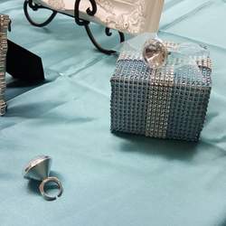 Maddy’s Quinceañera - Tiffany & Company