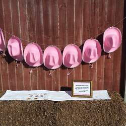 Isabellas Cowgirl Bash - Cowgirl