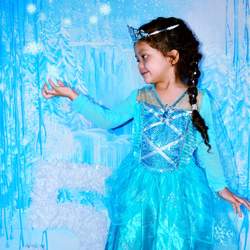 Royal Frozen Celebration  - Frozen (Disney)