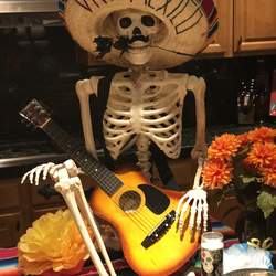 Julie’s Day of The Dead Party - Day of The Dead 