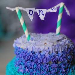 Purple and Turquoise Birthday Party  - Purple and Turquoise 