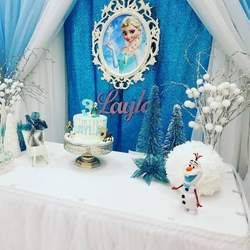 Layla Frozen theme - Frozen