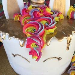 Chloe’s Unicorn Party - Unicorn