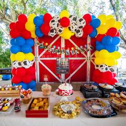 1st Birthday on the Farm - Farm