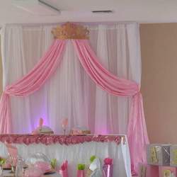 Welcoming Princess Harmony - Princess