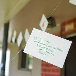 Harry Potter 18th Birthday Party - Harry Potter
