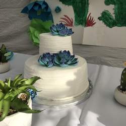 Cactus and succulents birthday party - None