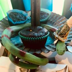 Oscar's Roaming Reptile Birthday Party - Snakes / Reptiles