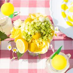 Lemon Grove Party - Lemons and Lemonade