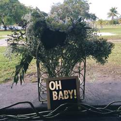 Baby Milo's Shower - A Breath of Fresh Air