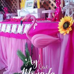 The Party of flamingos for julieta - Flamingos 