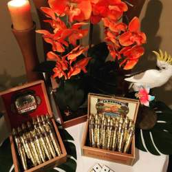 Havana Cuban Cigar Party - Havana Nights