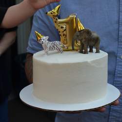Wild Boy Ledgen is One! - Wild Animal First Birthday
