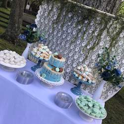 Natalie’s Blue Boho Baby Shower - None
