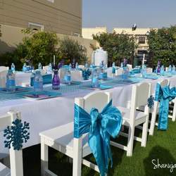 Nethra’s Frozen party  - Frozen (Disney)