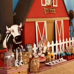Zenon’s Farm birthday party - Farm