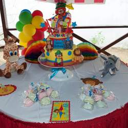 Theanna's First Birthday - Circus / Carnival