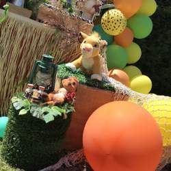 Lion King birthday party - None