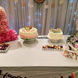 Ryka’s first birthday bash - Up up & away