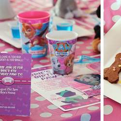 Paw Patrol Pink Party - Paw Patrol Pink