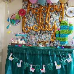 Cactus Birthday Celebration  - Cactus