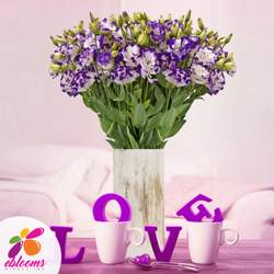 LISIANTHUS FRESH GARDEN PARTY - LISIANTHUS FRESH GARDEN PARTY