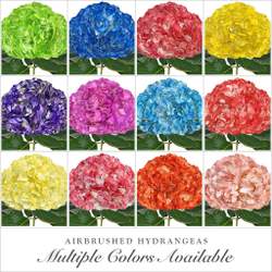 RAINBOW PARTY ALL COLORS PAINTED FLOWERS - RAINBOW PARTY ALL COLORS PAINTED FLOWERS