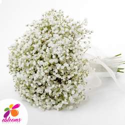 WHITE INNOCENCE BAPTISM - EBLOOMS DIRECT - WHITE INNOCENCE BAPTISM - EBLOOMS DIRECT